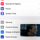 Picture-in-picture on iOS.